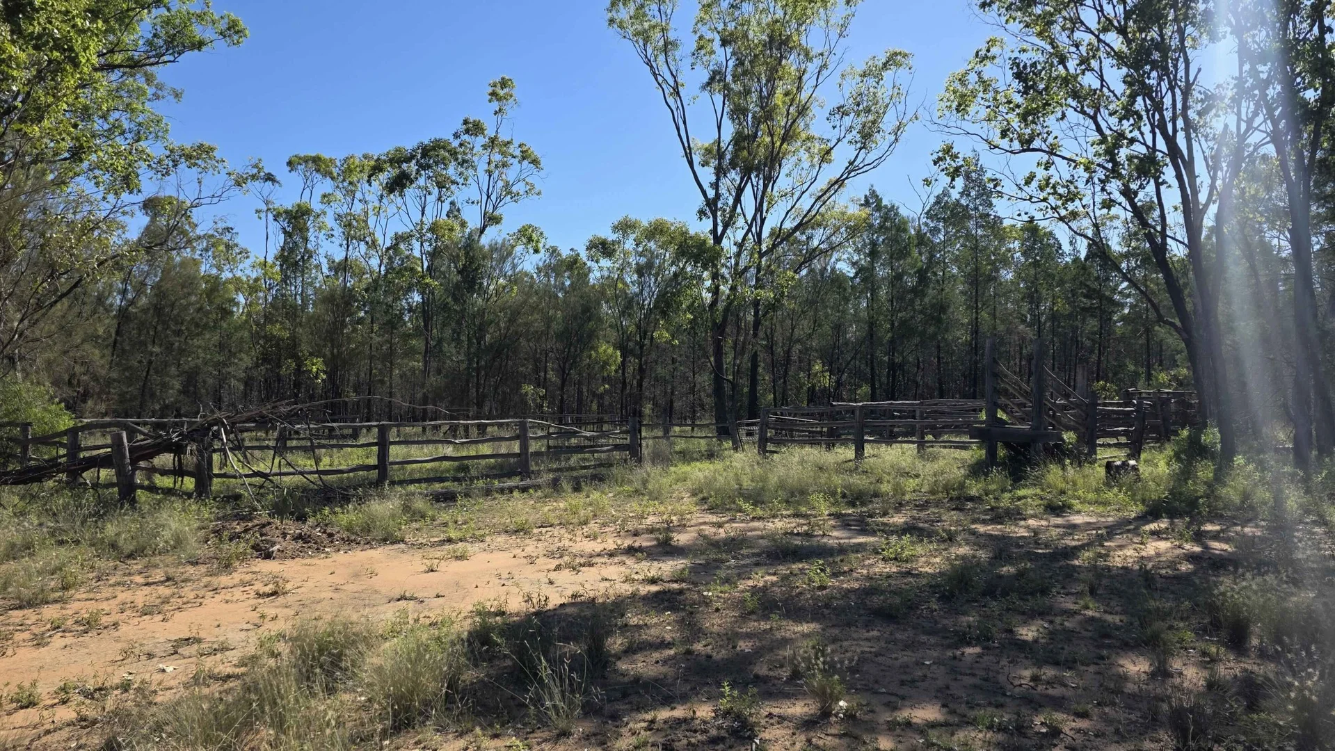 Additional image 5 of LOTS 34-39/221, 520 Pelican Back Road, Pelican QLD 4413