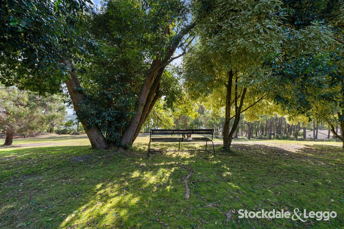 Additional image 18 of 55 MacIntoshs Road, Boolarra VIC 3870