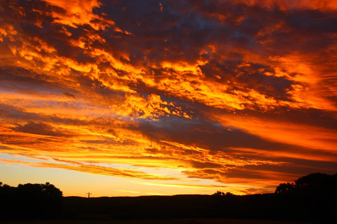 Additional image 36 of 709 Federal Drive, Federal NSW 2480