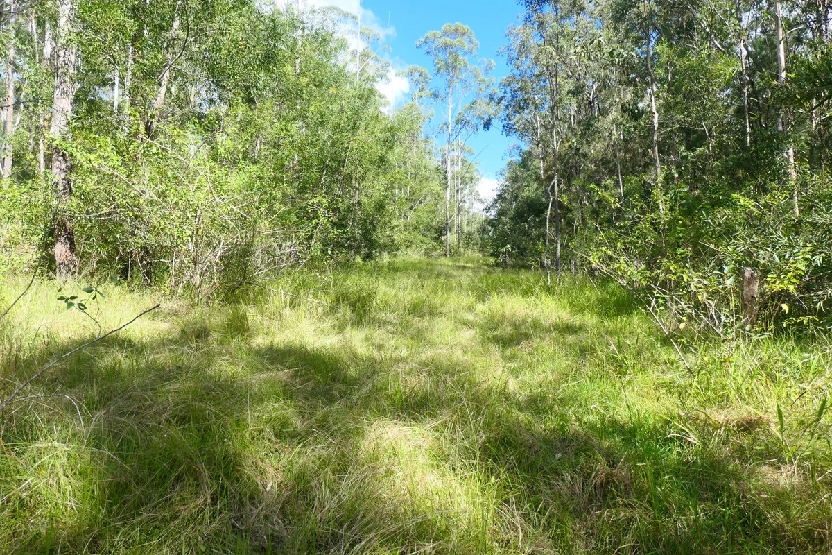 Additional image 10 of 146 Mills Road, Bean Creek NSW 2469