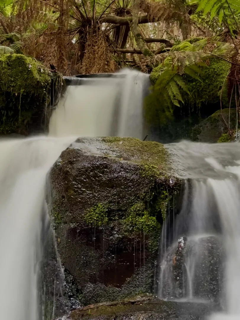 Additional image 10 of 1390 Loongana Road, Loongana TAS 7315