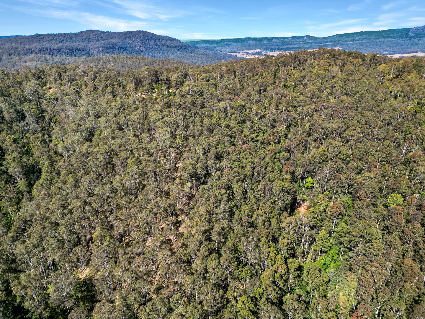 Additional image 11 of 506 Old Lawrence Road, Casino NSW 2470