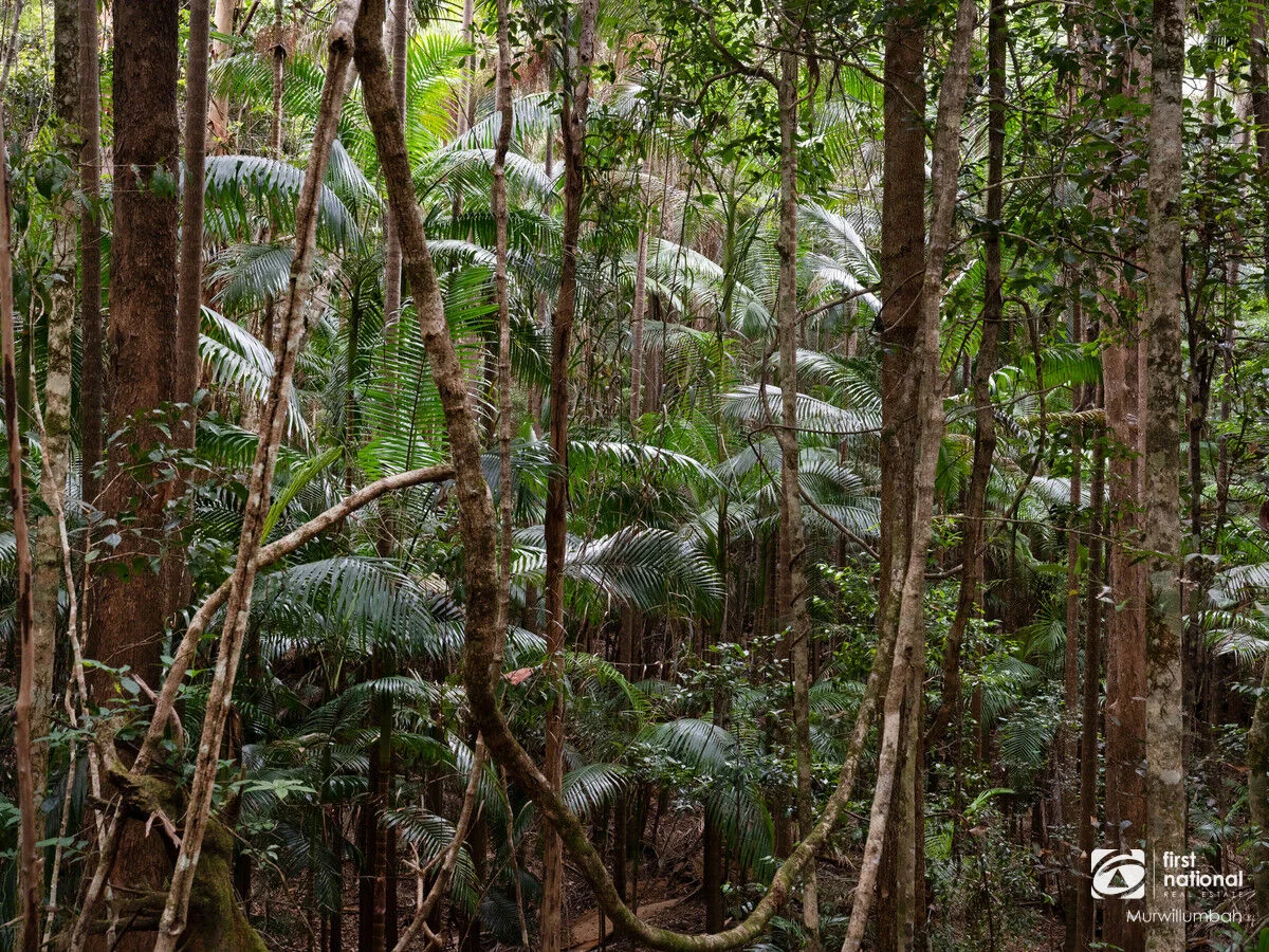 Additional image 37 of 563 Commissioners Creek Road, Commissioners Creek NSW 2484