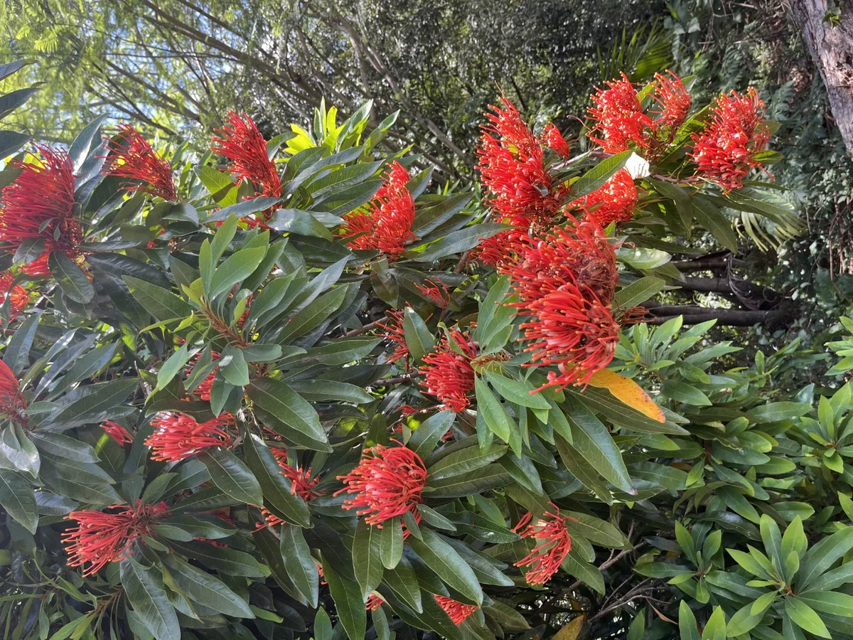 Additional image 14 of 3384 Esk-Hampton Road, Ravensbourne QLD 4352