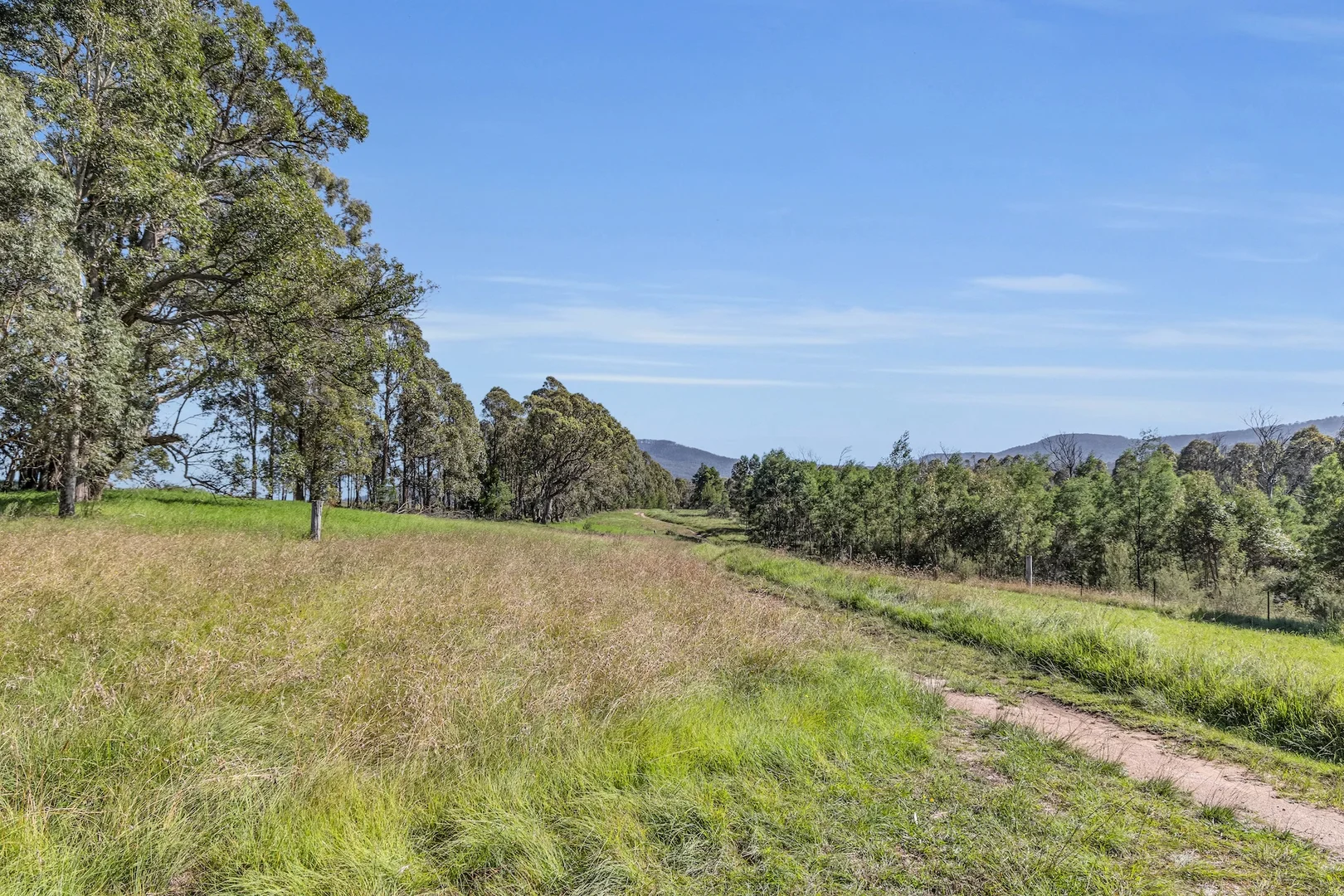 Additional image 4 of 2577 Towamba Road, Towamba NSW 2550