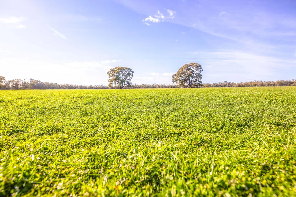 Additional image 15 of 'Wetuppa' 245 Fisher Lane, Wetuppa NSW 2734