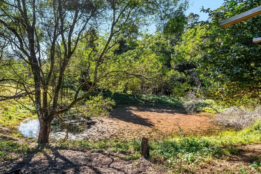 Additional image 17 of 102 Harwood Road, Burringbar NSW 2483