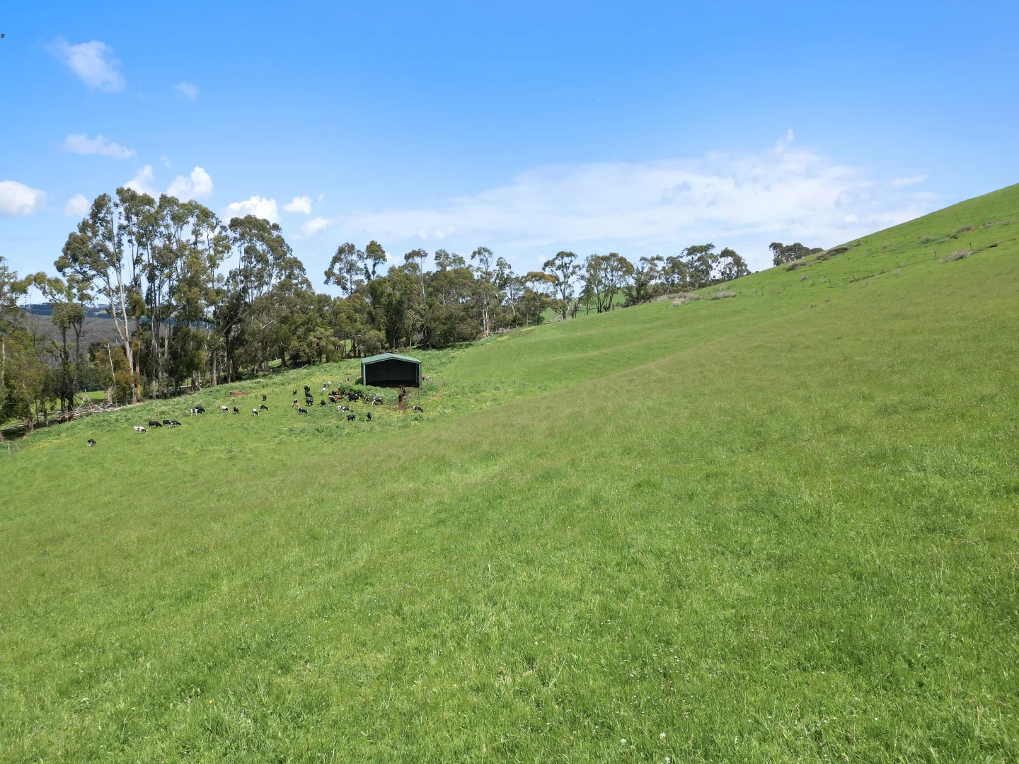 Additional image 5 of 581 Limonite Road, Boolarra VIC 3870