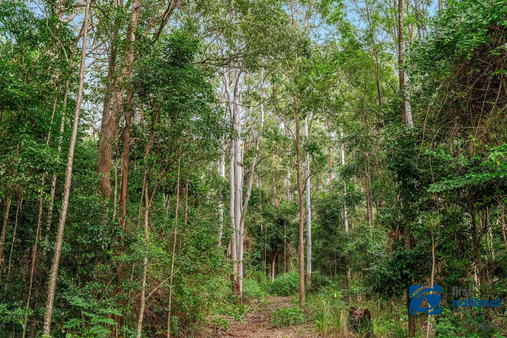 Additional image 29 of 1212 Beaury Creek Road, Urbenville NSW 2475