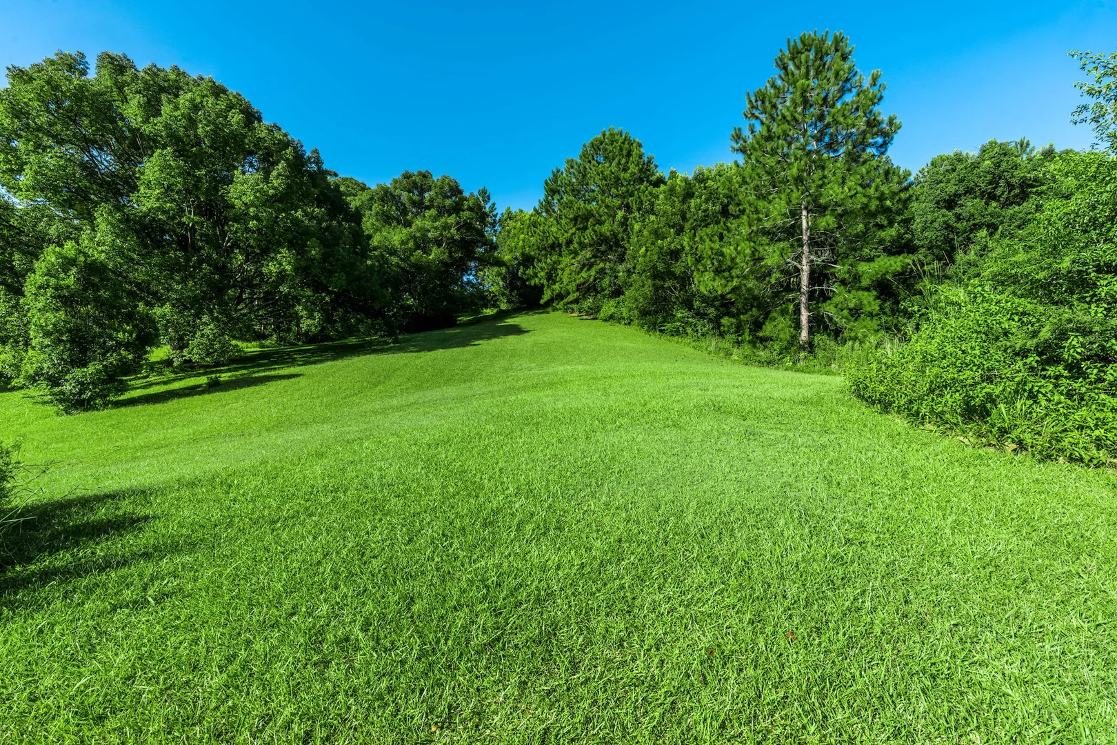 Additional image 8 of 111 Fowlers Lane, Bangalow NSW 2479