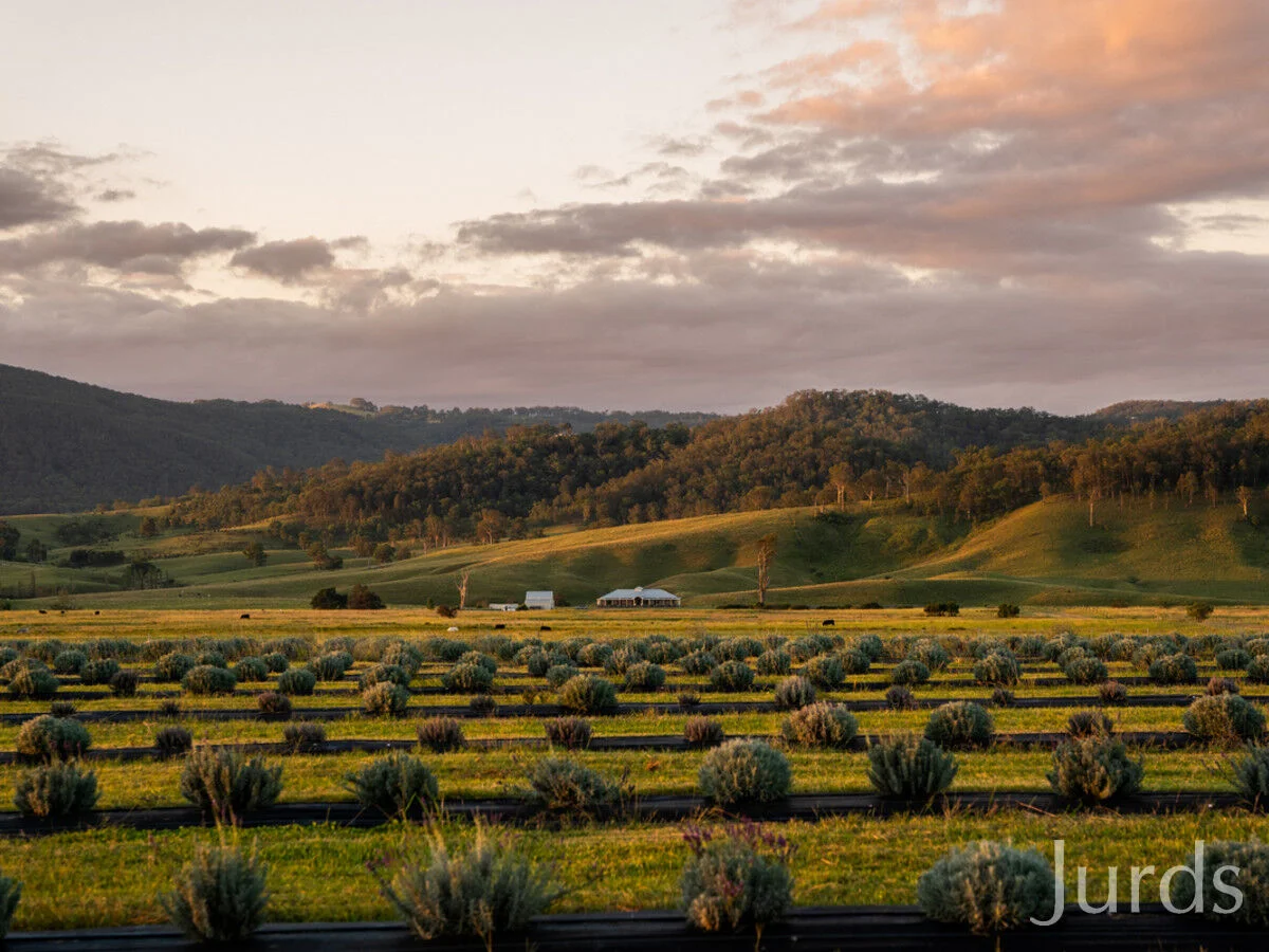 Additional image 2 of 232A Fernhill Road, Dalwood NSW 2335