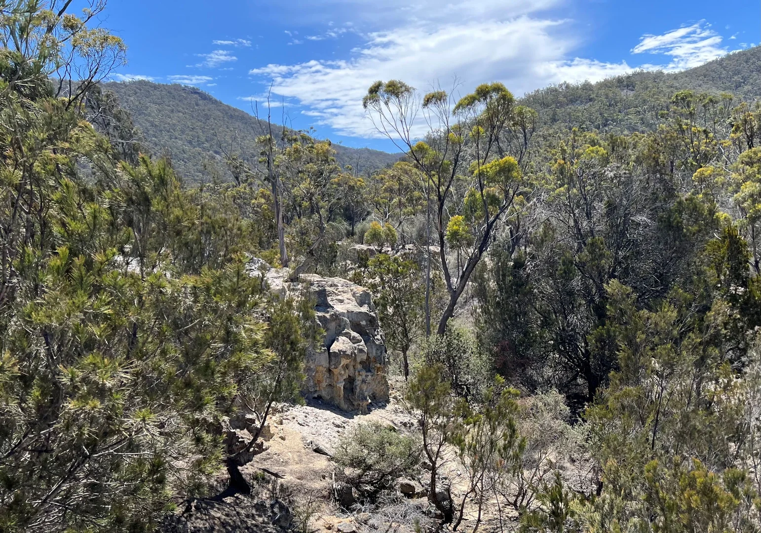 Additional image 4 of 3 Leona Road, Avoca TAS 7213