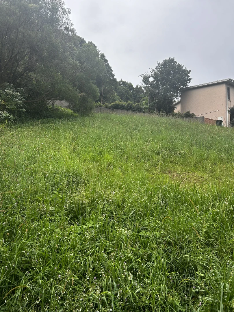 Additional image 3 of 8 Gallagher Pl, Coffs Harbour NSW 2450