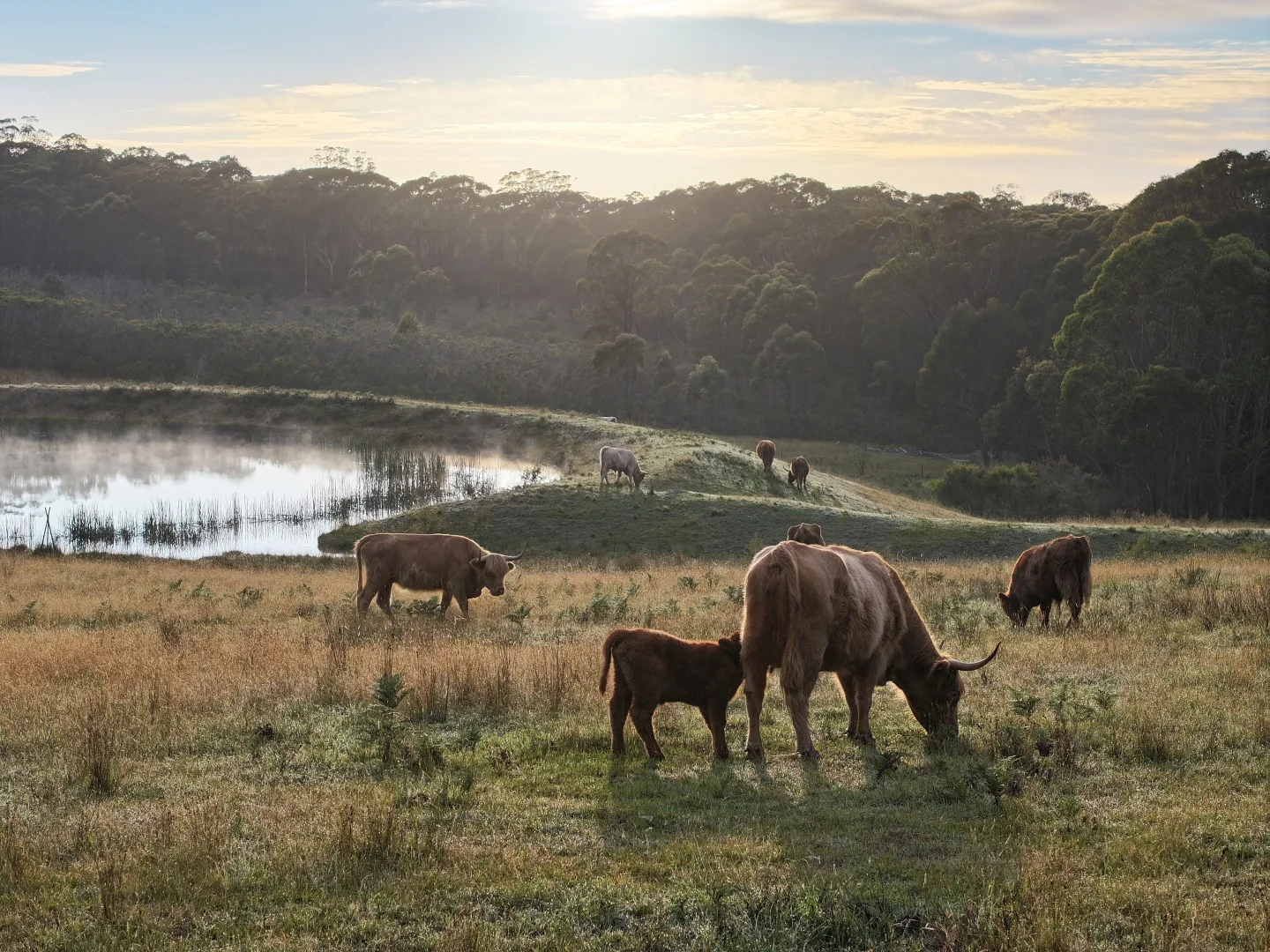 Additional image 7 of 181 Drapers Road, Colo Vale NSW 2575