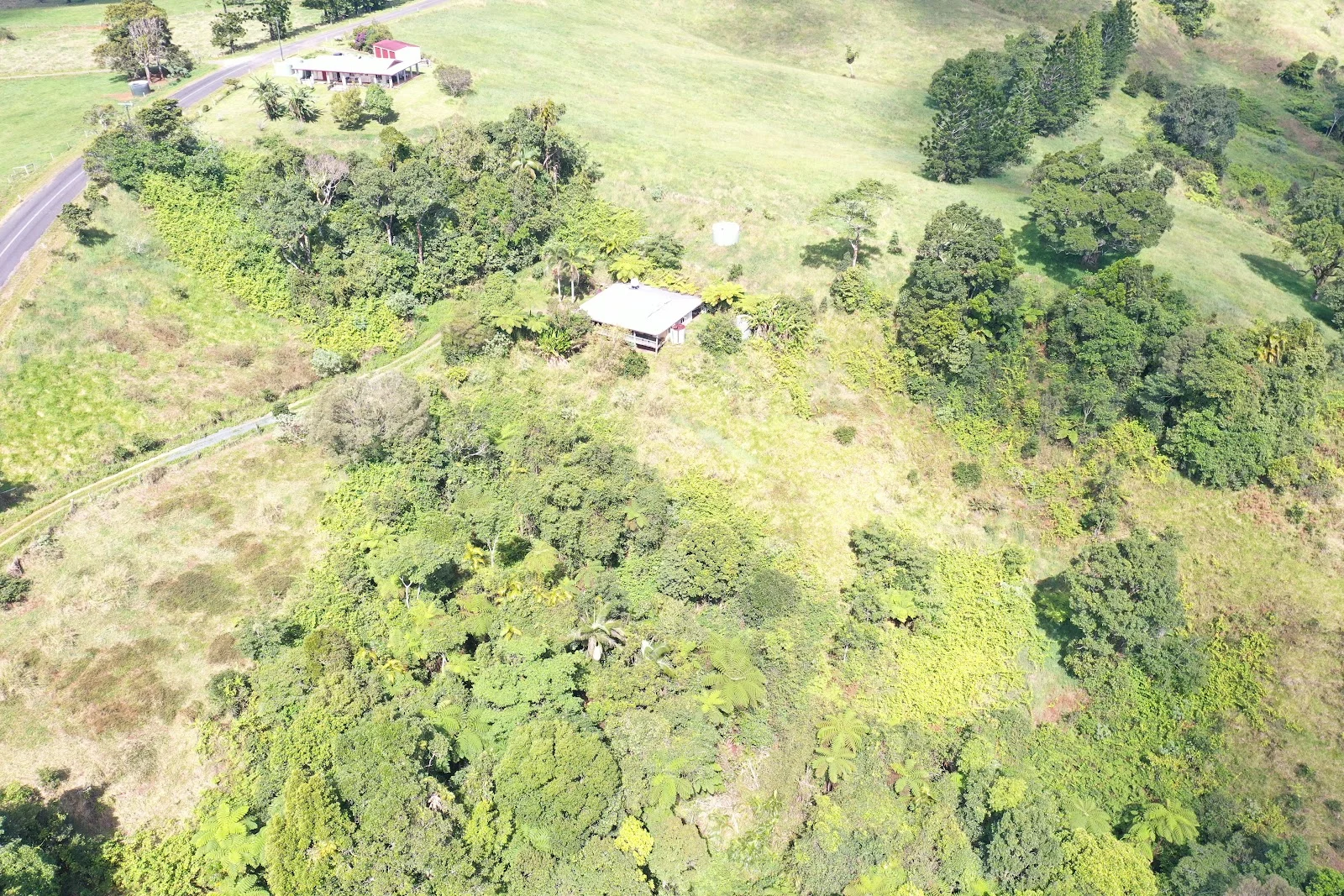 Additional image 17 of 581 Theresa Creek Road, Millaa Millaa QLD 4886