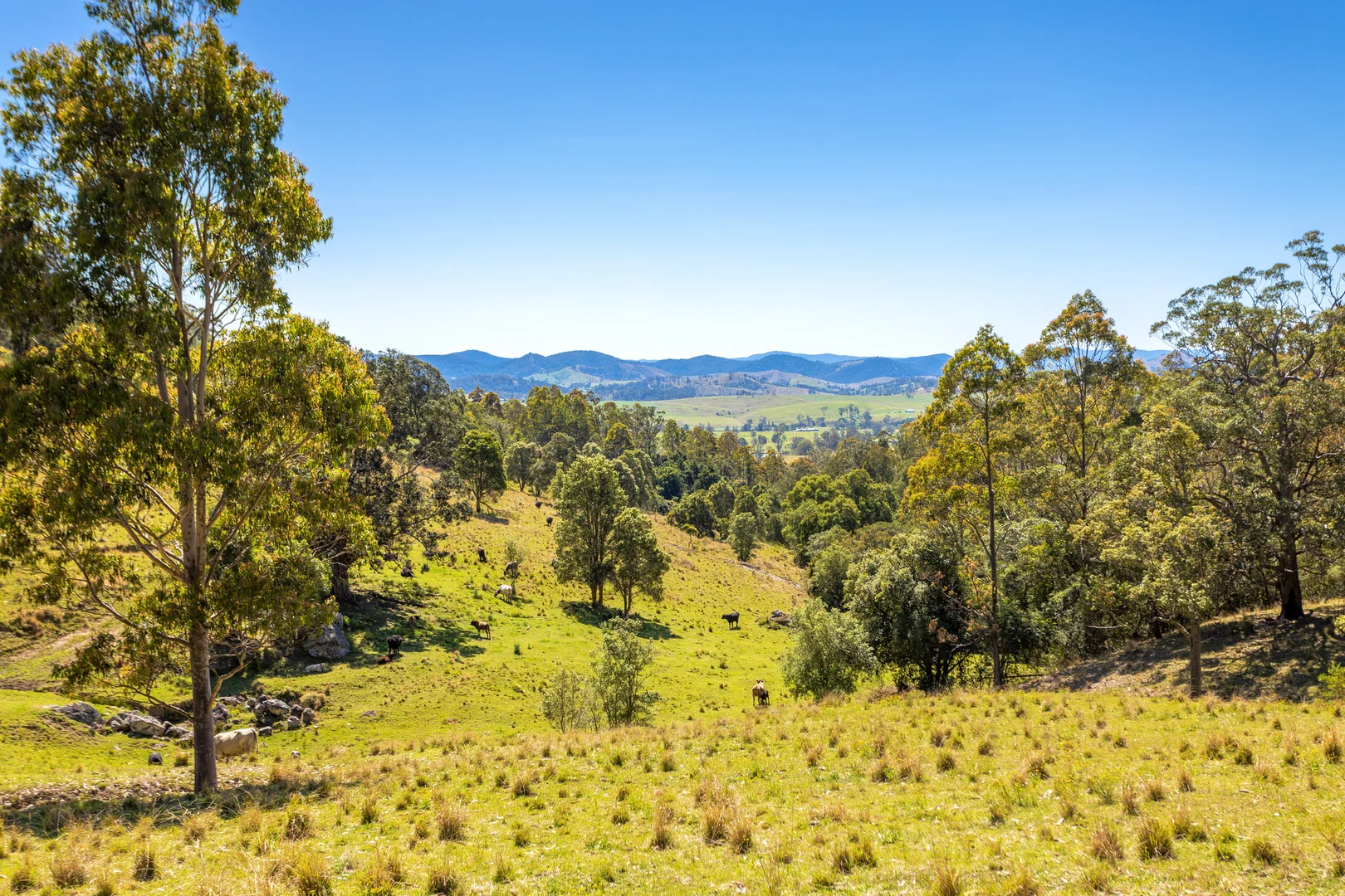 Additional image 5 of 233 Thunderbolts Way, Gloucester NSW 2422