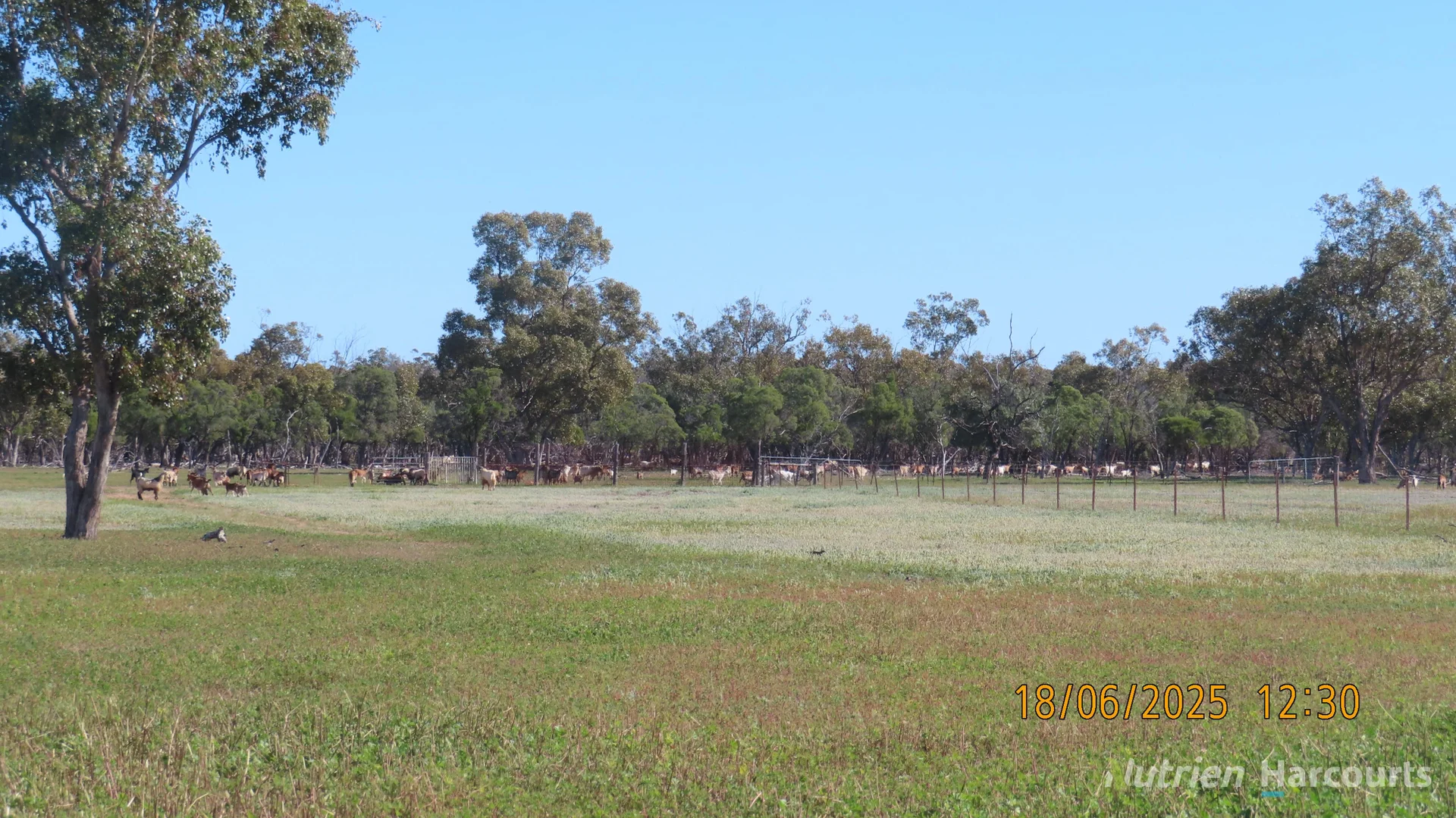Additional image 11 of * Springvale, Walgett NSW 2832