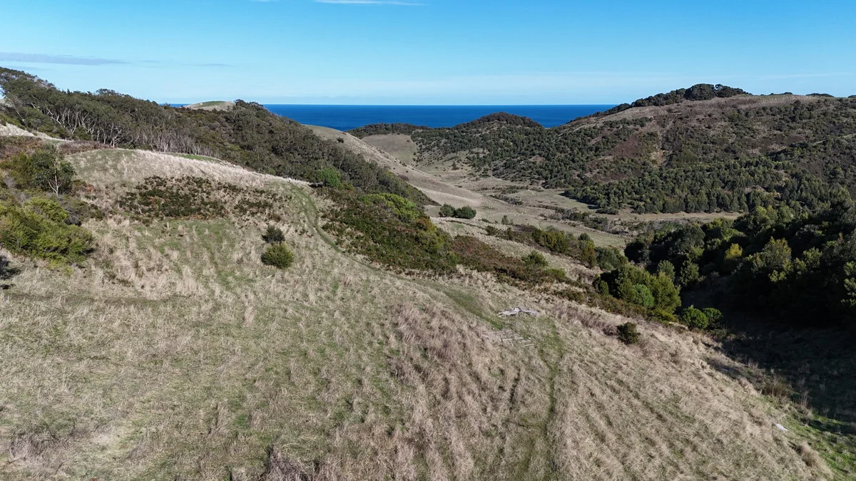 Additional image 4 of 650 Blue Johanna Road, Johanna VIC 3238