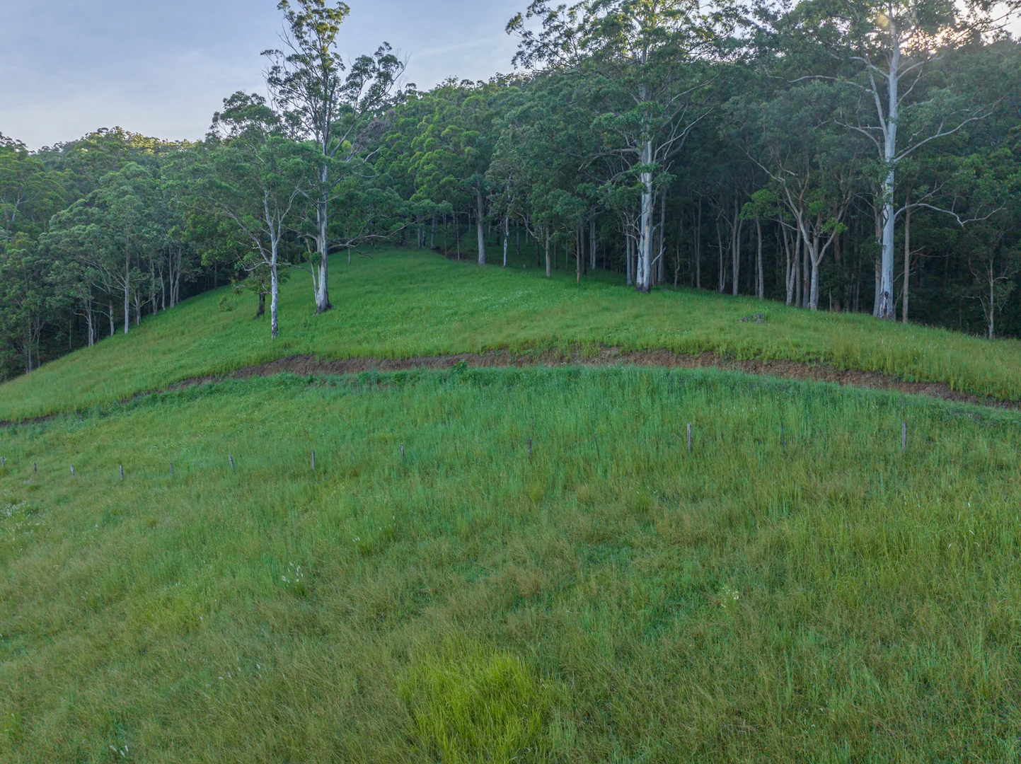 Additional image 10 of 2298 Nimbin Road, Nimbin NSW 2480