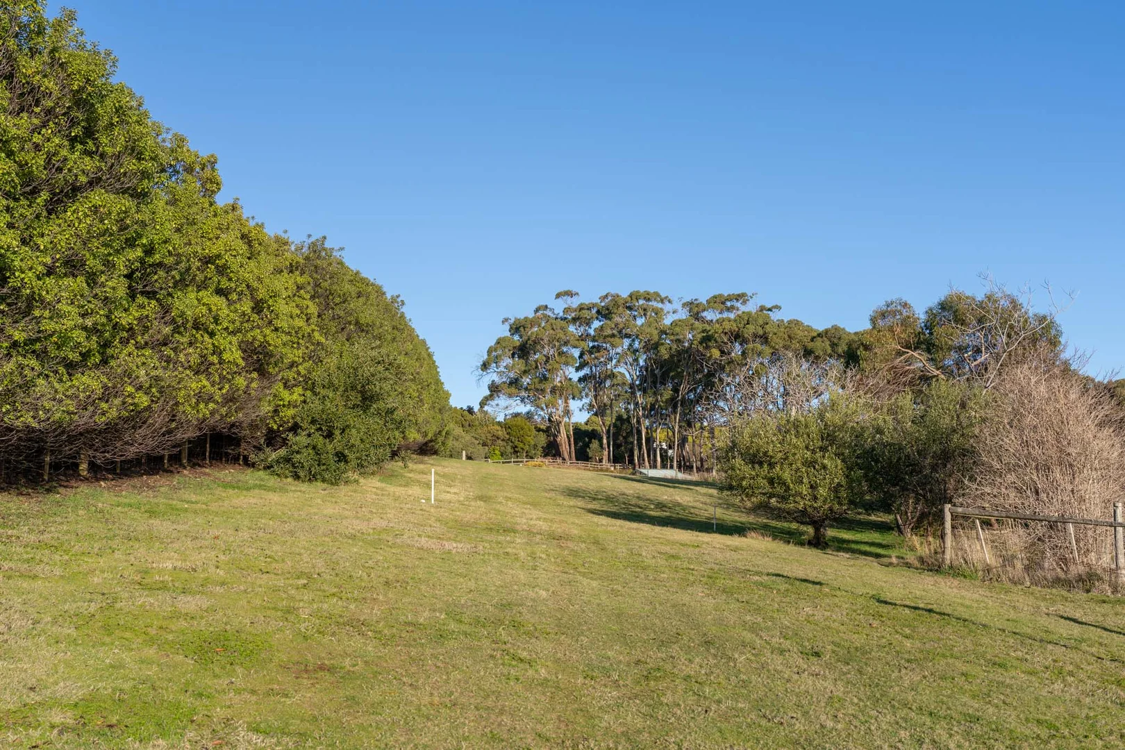 Additional image 7 of 18 Alexander Street, Leith TAS 7315