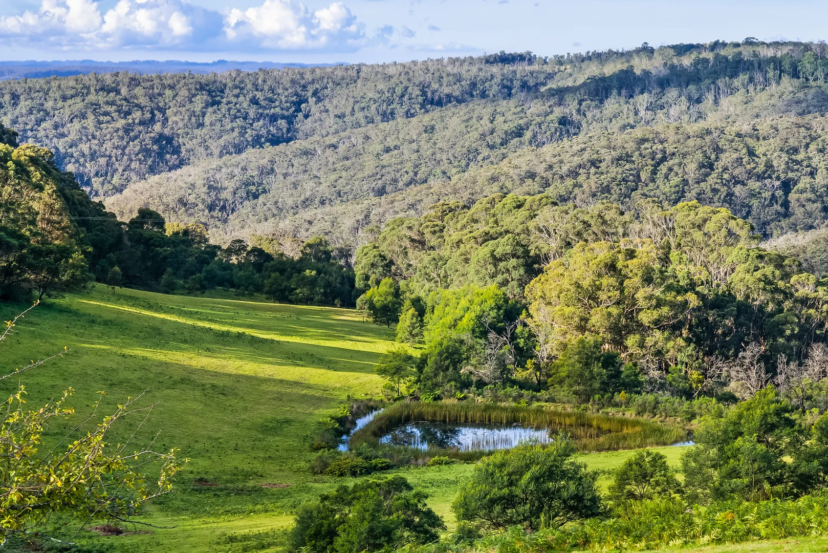 Additional image 4 of 1639 Caoura Road, Tallong NSW 2579