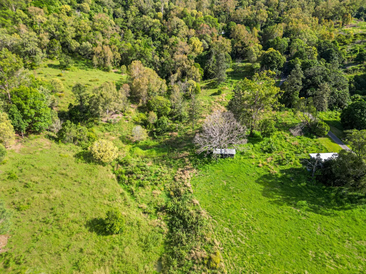 Additional image 16 of 169 Dunns Road, Wolffdene QLD 4207