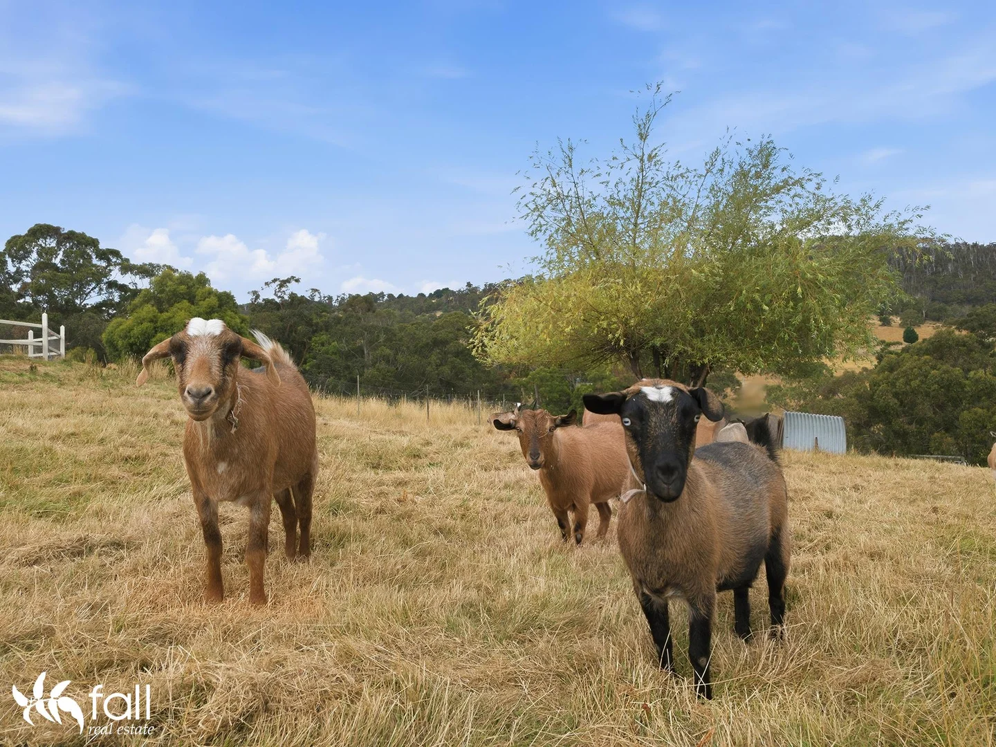 Additional image 31 of 1134 Cygnet Coast Road, Wattle Grove TAS 7109