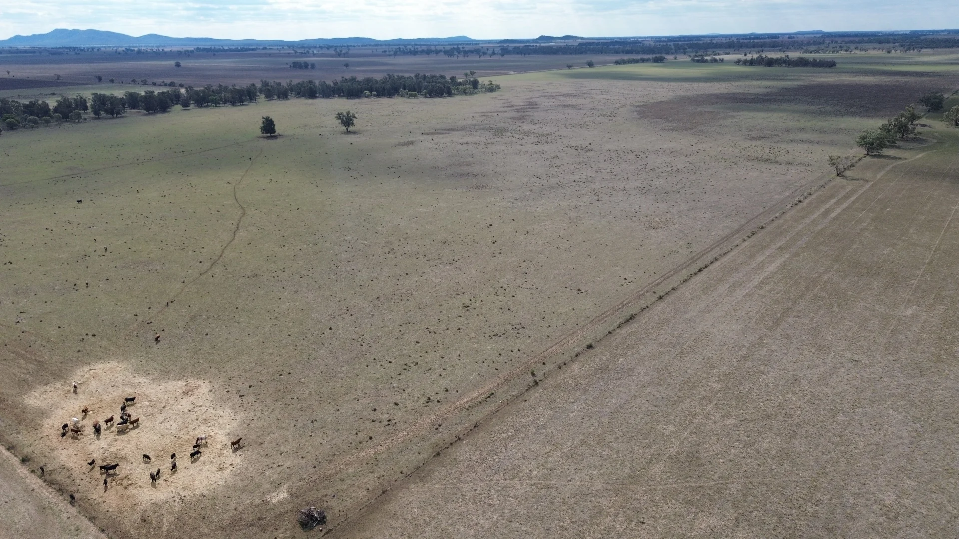 Additional image 15 of Forbes NSW 2871