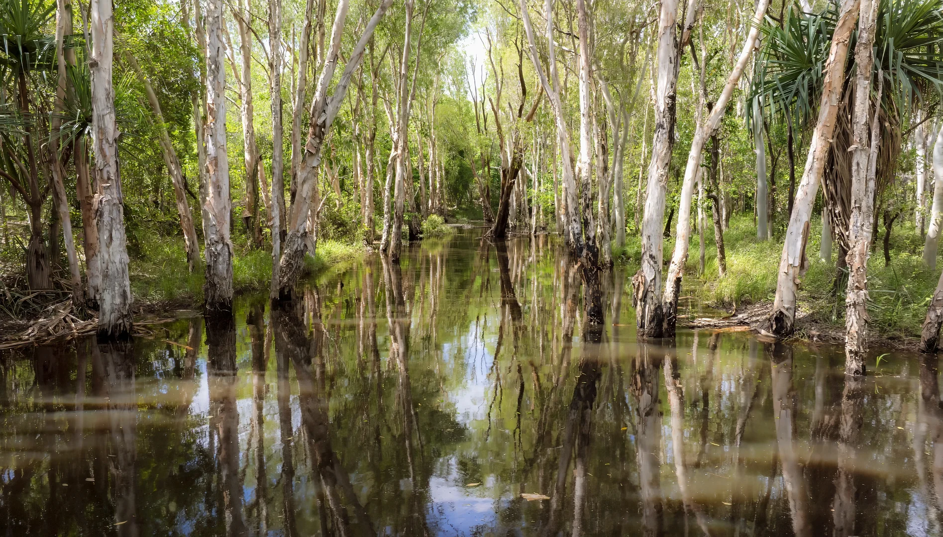 Additional image 11 of 14755 Bruce Highway, Gregory River QLD 4800