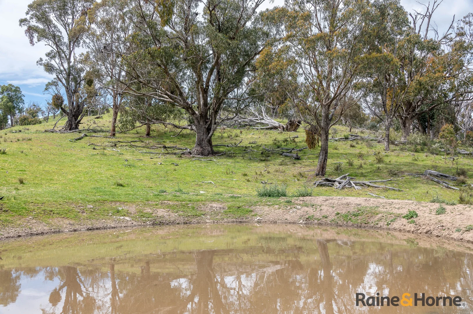 Additional image 7 of Lot 4/2553 Campfire Road, Walcha NSW 2354