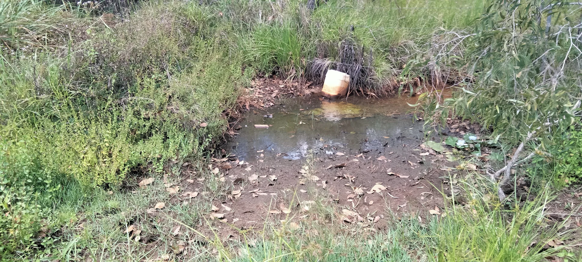 Additional image 45 of 3359 Lowmead Road, Lowmead QLD 4676