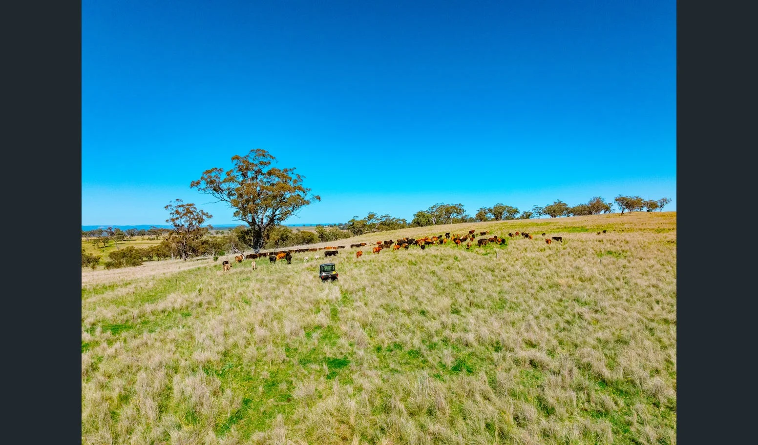 Additional image 4 of Flaggs Road, Merriwa NSW 2329