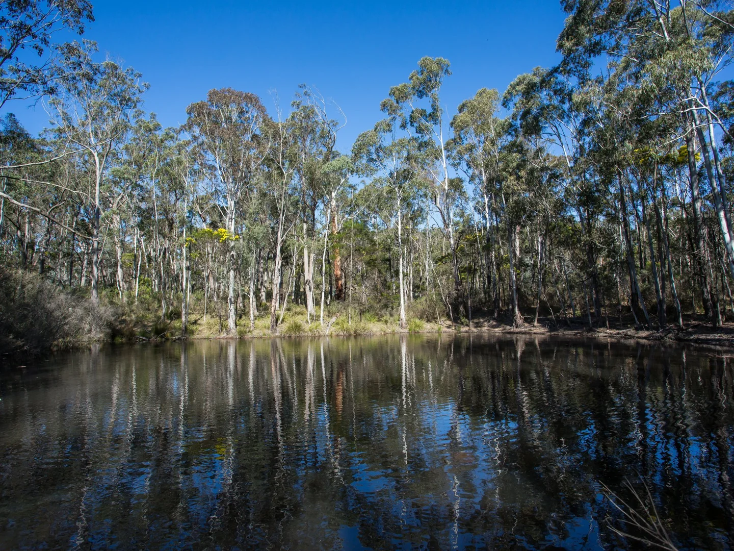 Additional image 22 of 170 Wattle Flats Road, Canyonleigh NSW 2577