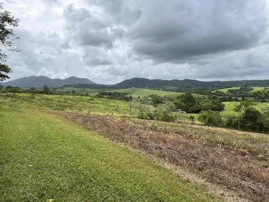 Additional image 26 of 125 Utchee Creek Road, Mena Creek QLD 4871