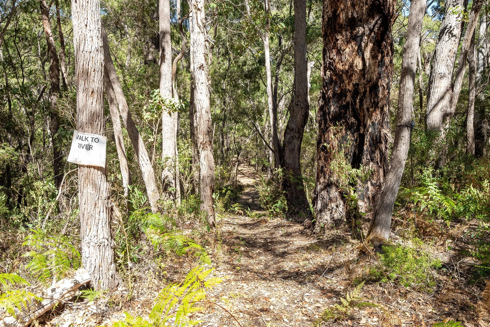 Additional image 35 of 42 Ashton Street, Margaret River WA 6285