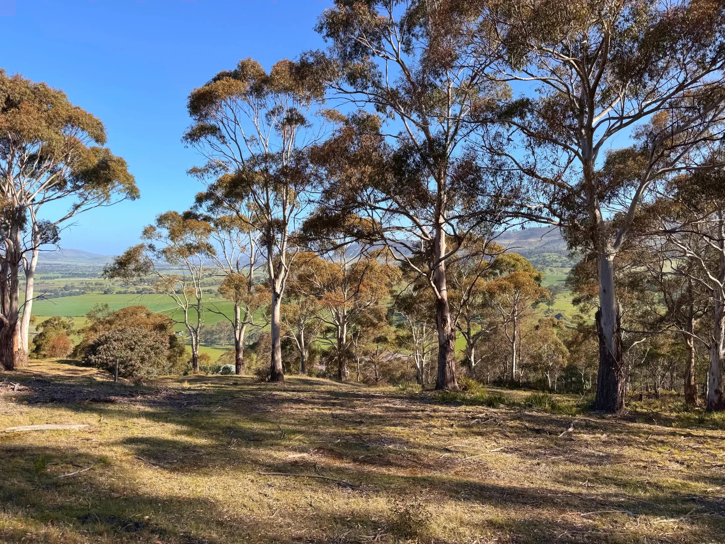 Additional image 9 of 26 Kandara Court, Campania TAS 7026