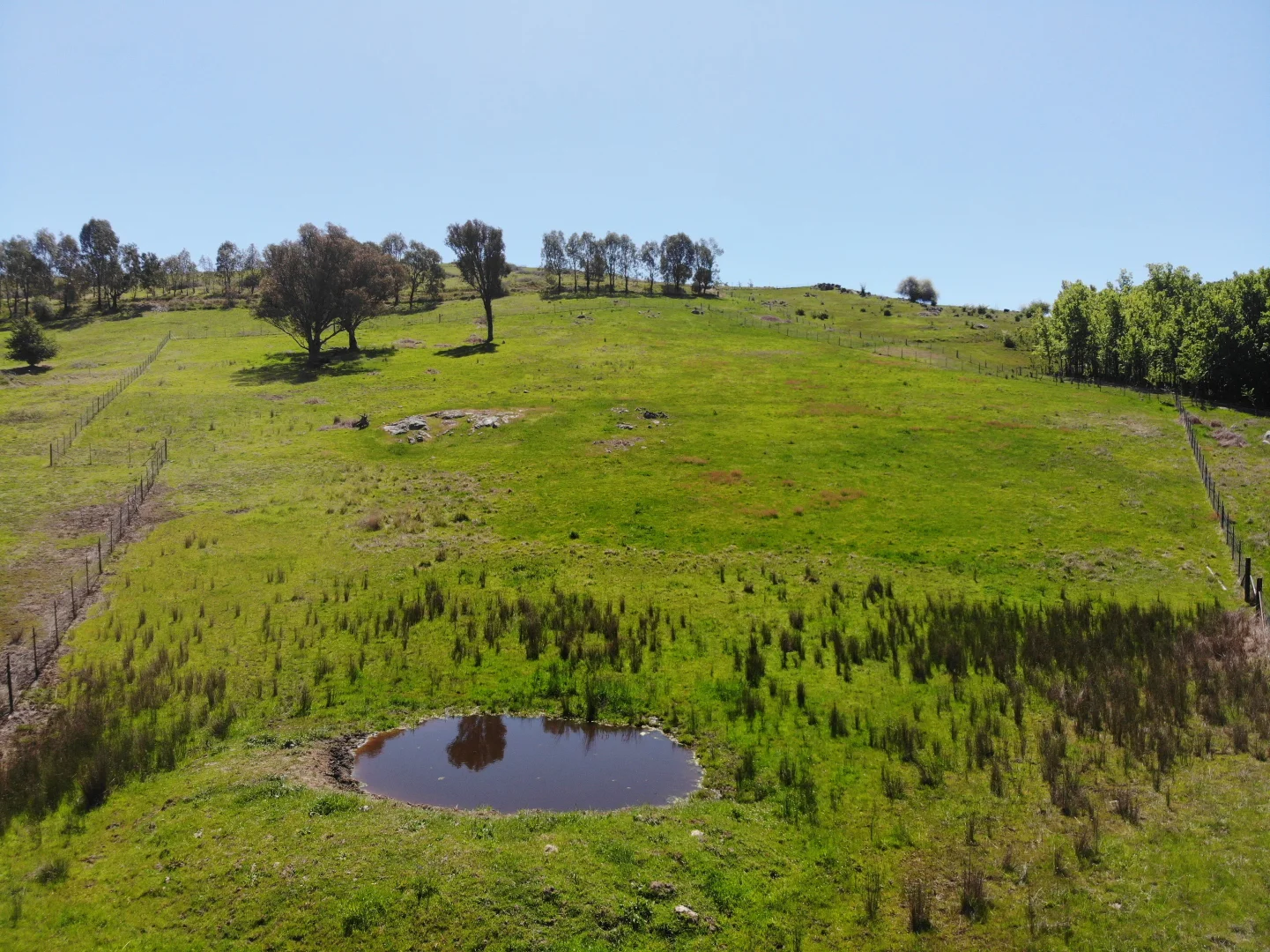 Additional image 3 of Lot 852 & 545/757211 Golden Gully Road, Adelong NSW 2729