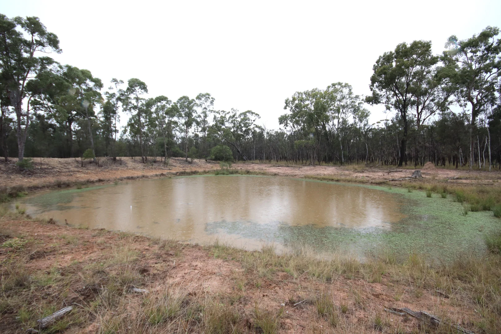 Additional image 17 of Lots 1 & N Yagaburne-Boondandilla Road, Boondandilla QLD 4406