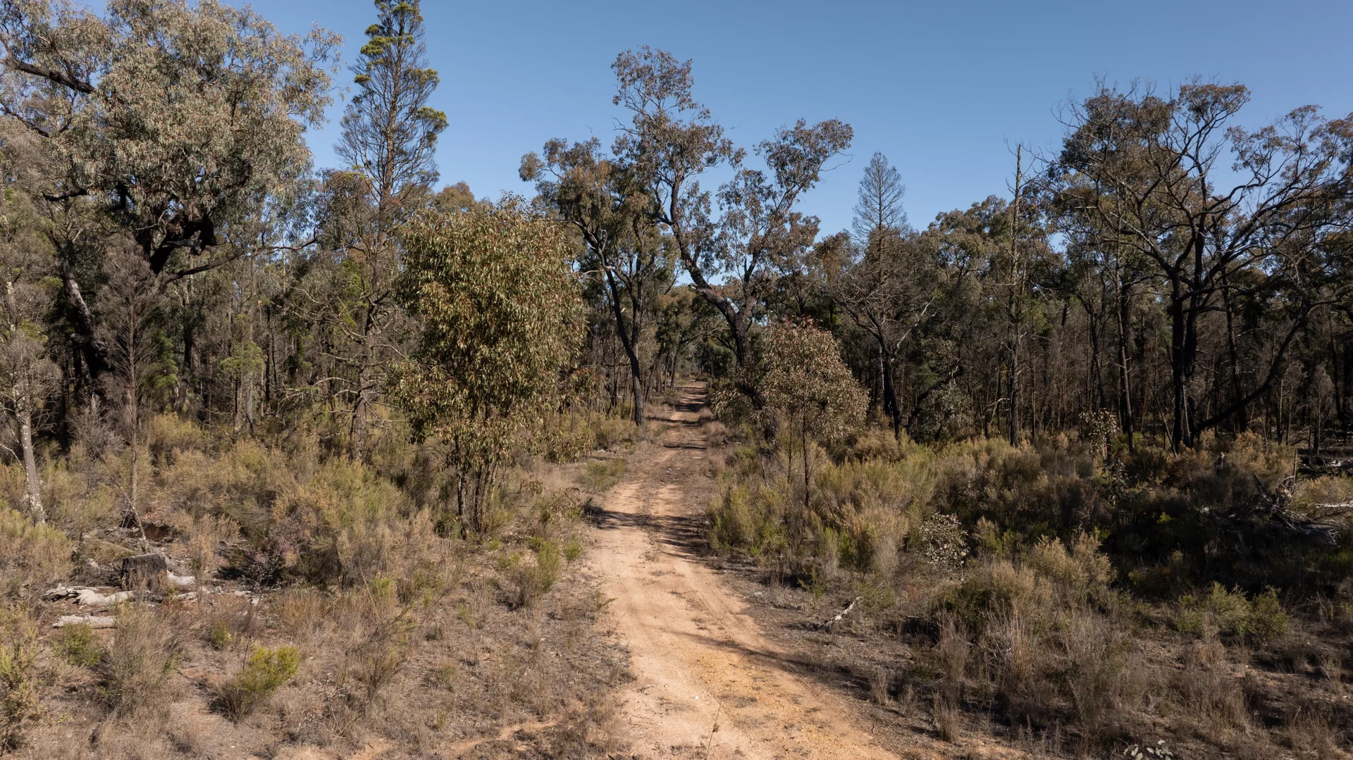 Additional image 8 of 250 Springwood Park Road, Gulgong NSW 2852