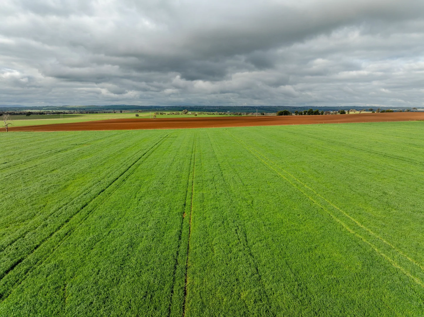 Additional image 8 of 79 Goldfields Way Old Junee Via, Wagga Wagga NSW 2650