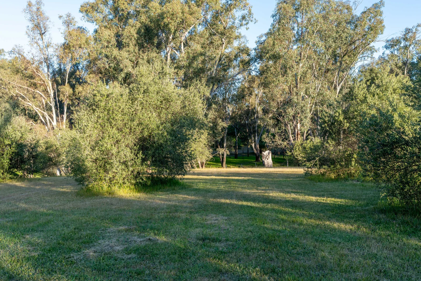 Additional image 19 of LOT 2/121 WATTLEVALE ROAD, Bailieston VIC 3608