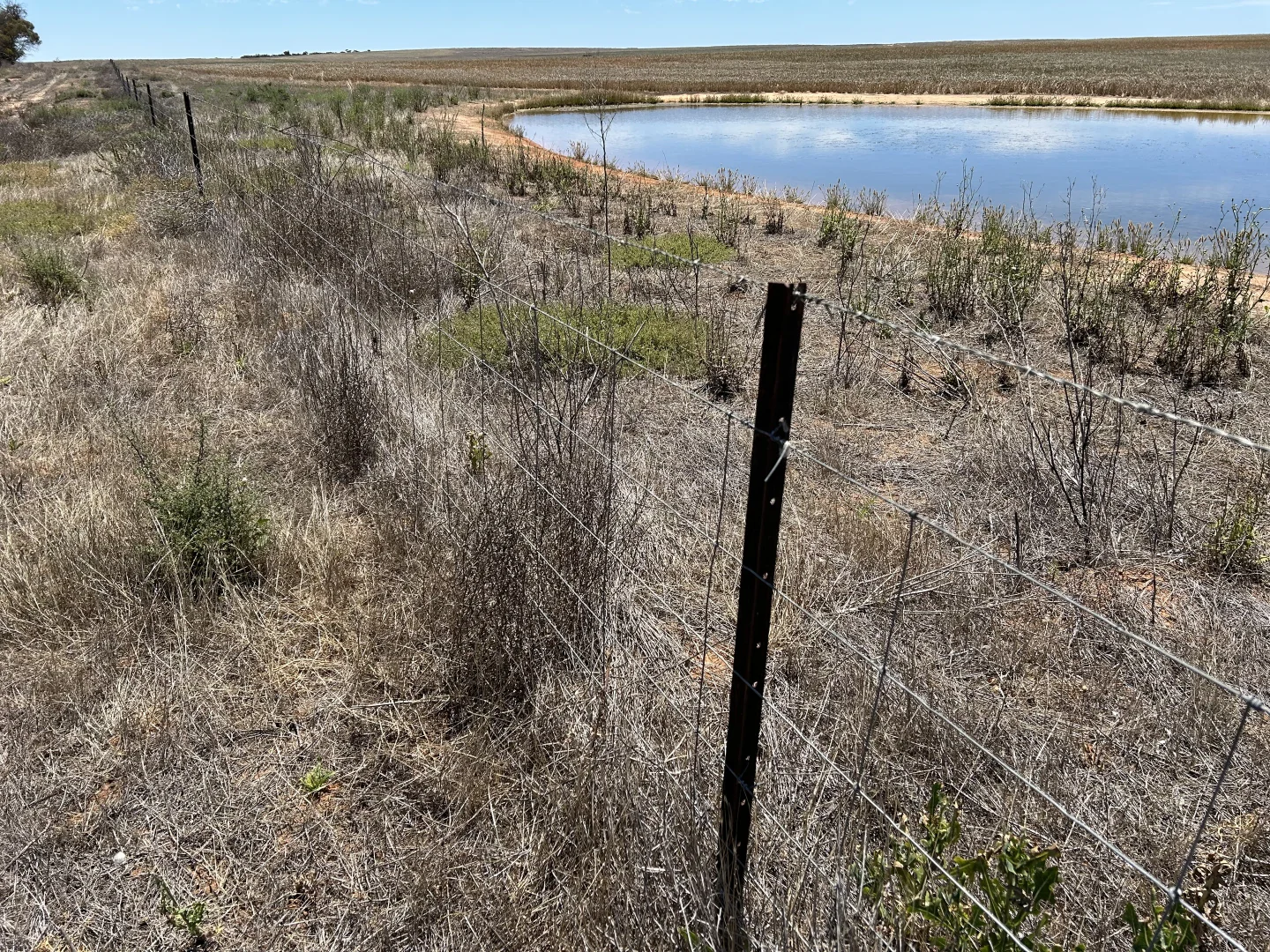 Additional image 9 of 8689 Browns Well Highway, Pinnaroo SA 5304