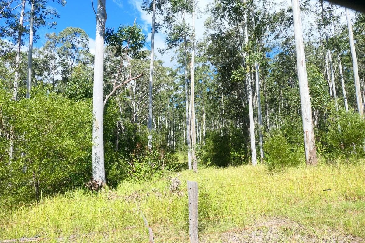 Additional image 17 of 146 Mills Road, Bean Creek NSW 2469