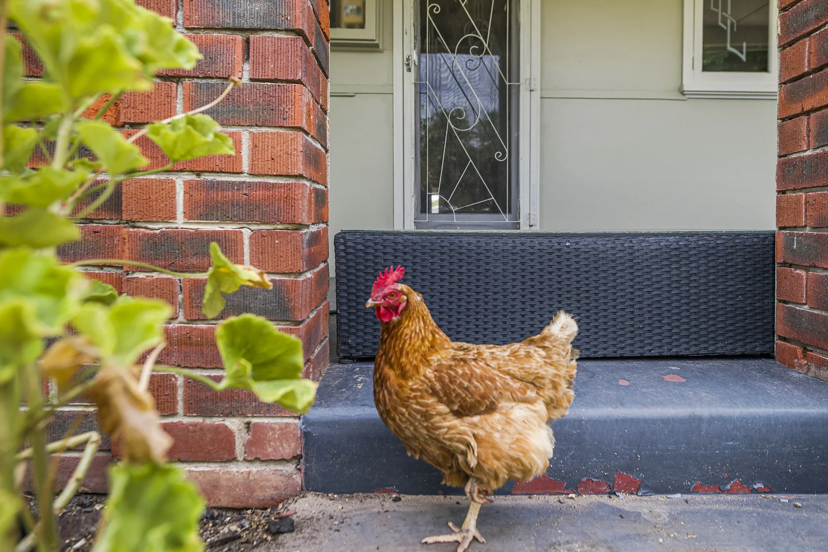 Additional image 2 of 301 Padbury Avenue, Millendon WA 6056