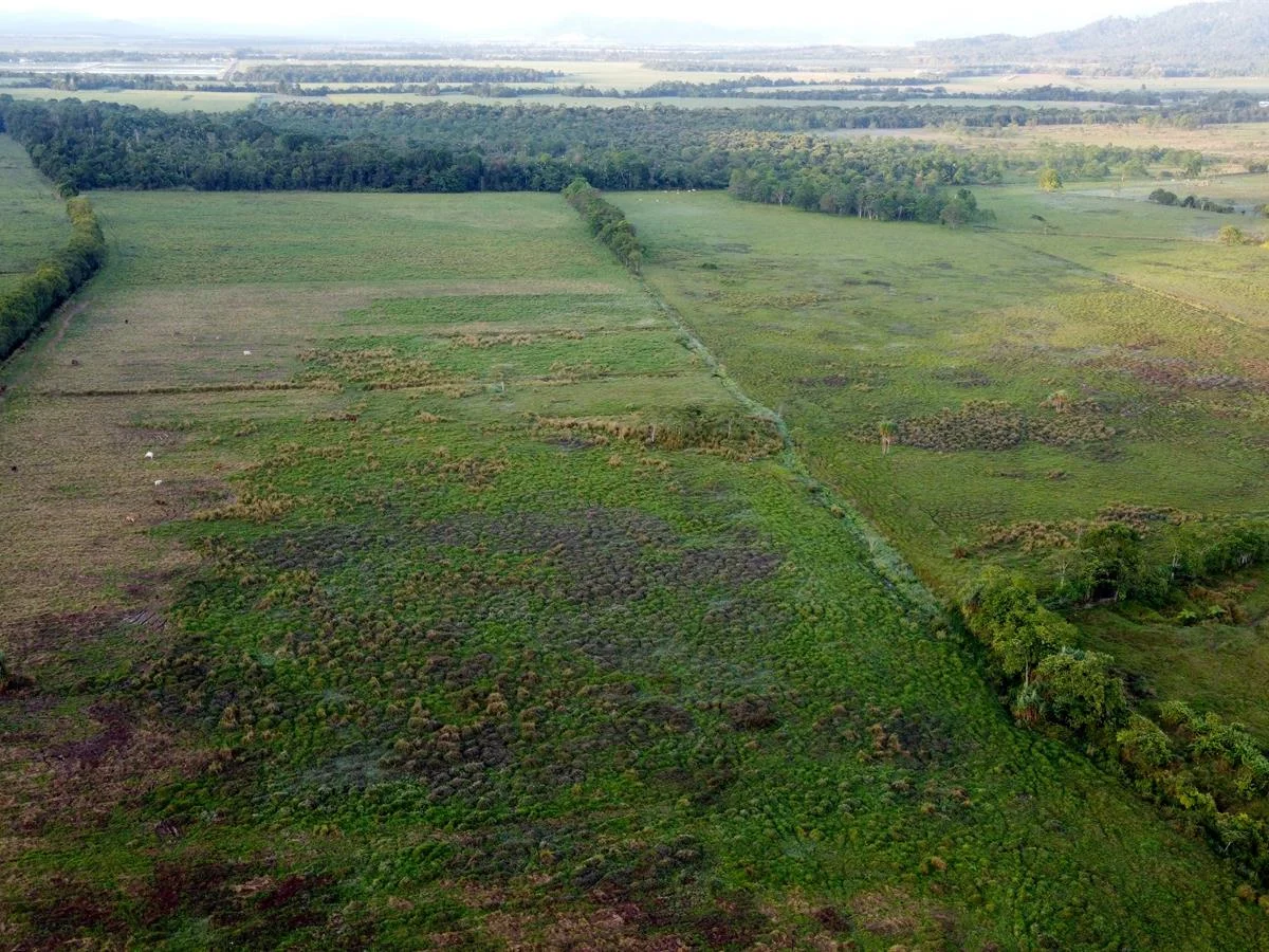 Additional image 20 of 000 Poppi Road, Cowley QLD 4871