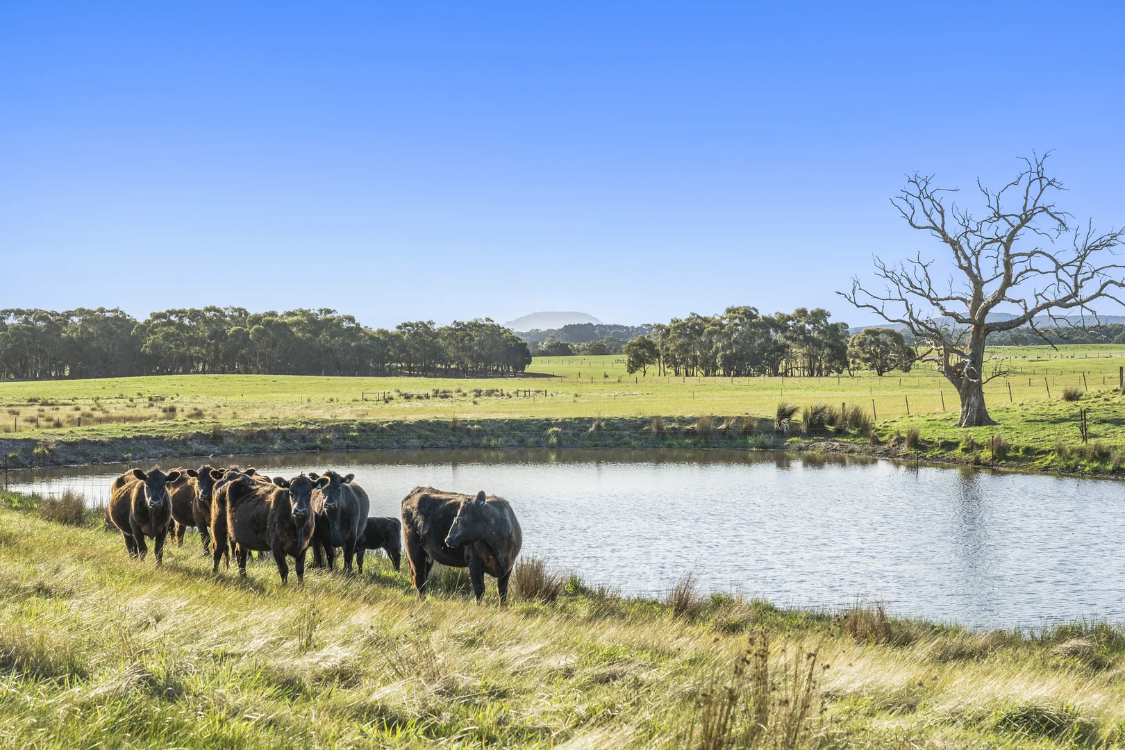 Additional image 14 of 153 Angees Road, Elaine VIC 3334