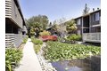 Additional image 22 of 717 E El Camino Real, Sunnyvale, CA, 94087