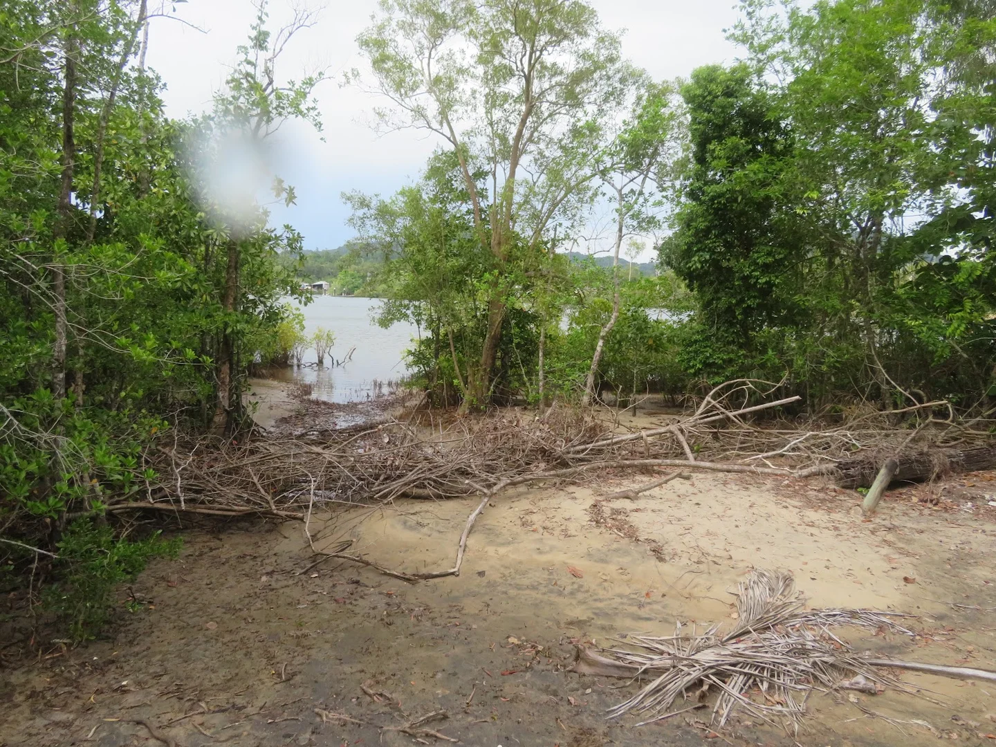 Additional image 24 of 364 Coquette Point Road, Coquette Point QLD 4860