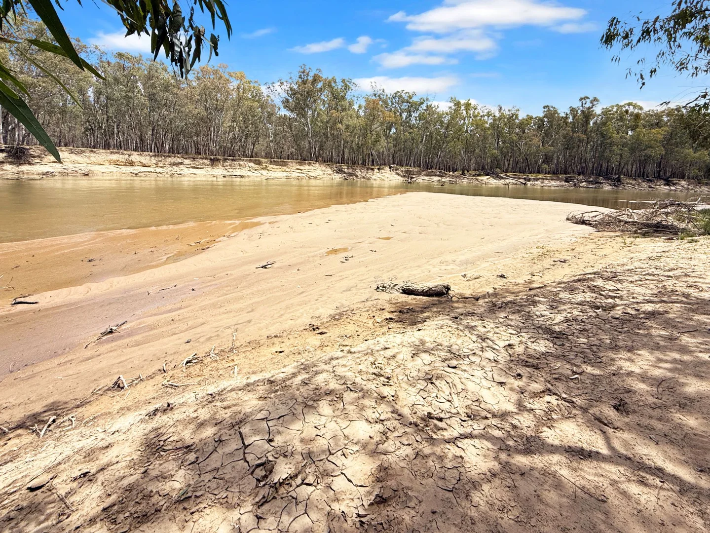 Additional image 14 of 116 Woolscour Road, Narrandera NSW 2700