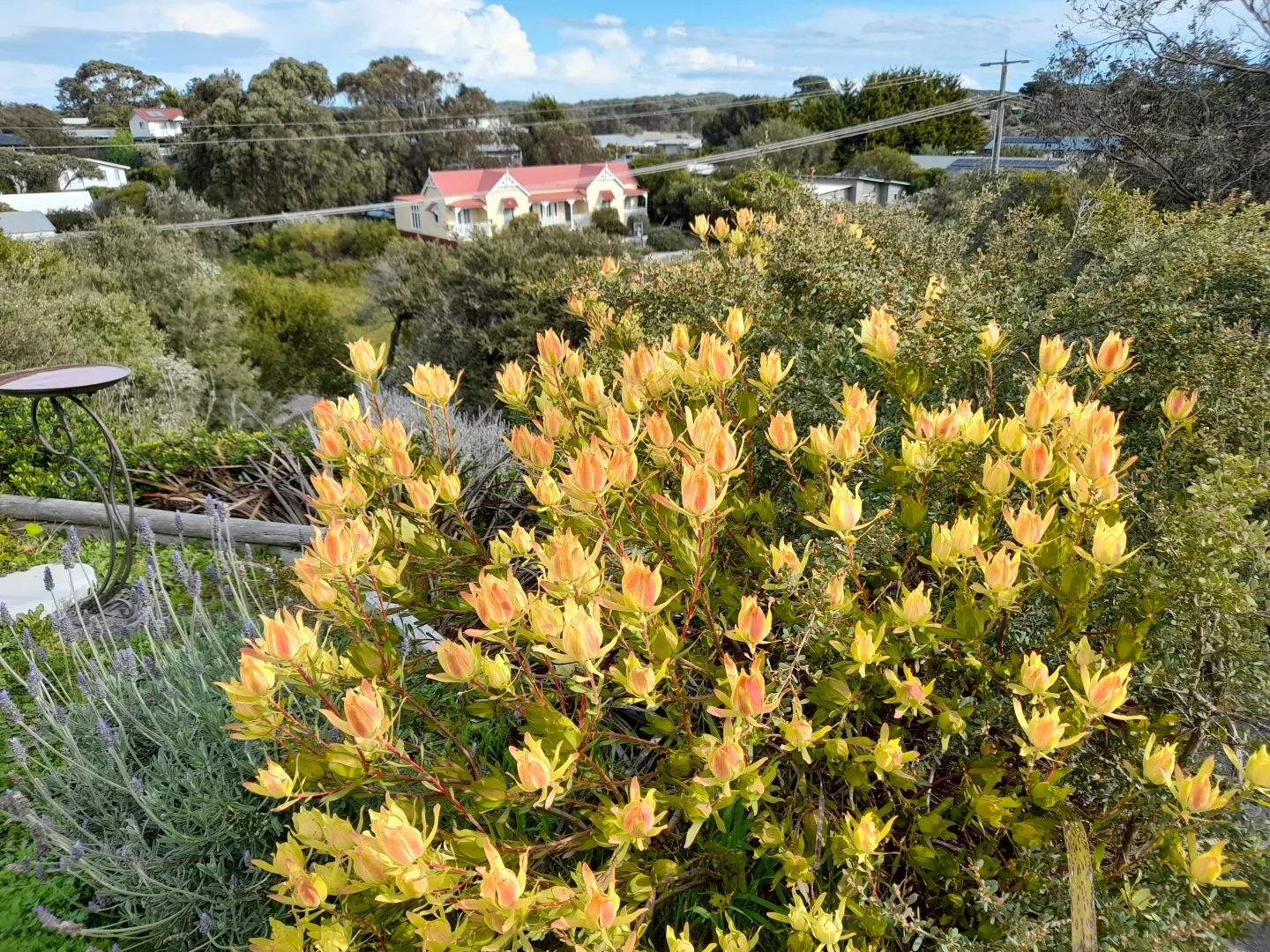 Additional image 17 of 49 Louis Road, Venus Bay VIC 3956